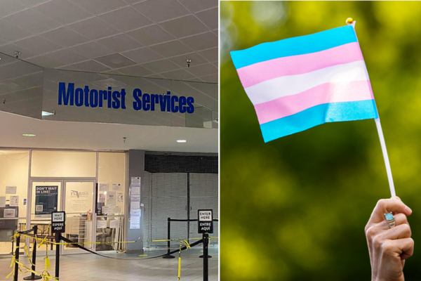 florida-dmv-won’t-allow-trans-people-to-change-their-gender-on-driver’s-licenses