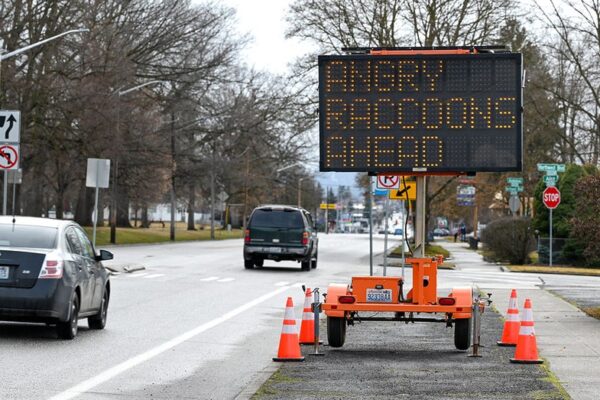 sign-in-washington-hacked-to-display-surprising-warning-about-‘angry-raccoons’