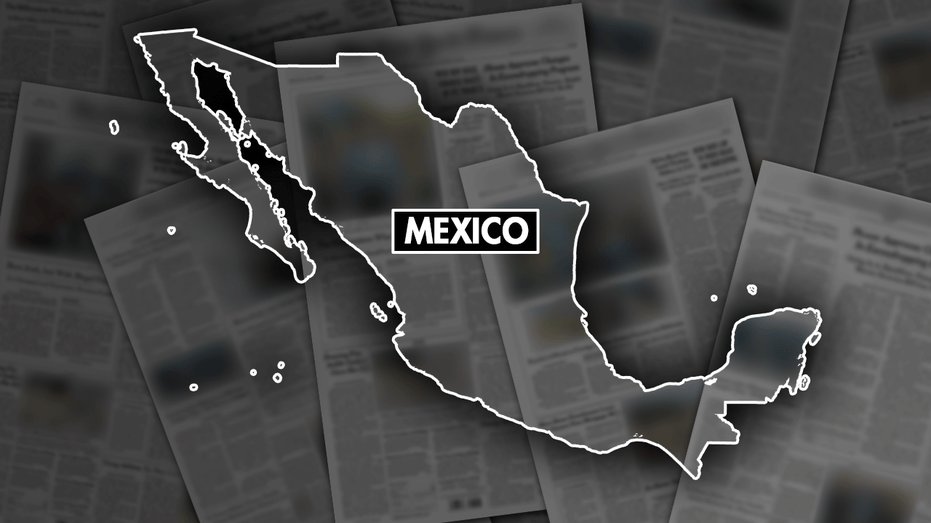 a-retired-catholic-bishop-who-tried-to-mediate-between-cartels-in-mexico-is-briefly-kidnapped