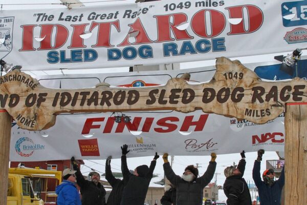 iconic-arch-that-served-as-iditarod-finish-line-collapses-in-alaska.-wood-rot-is-likely-the-culprit
