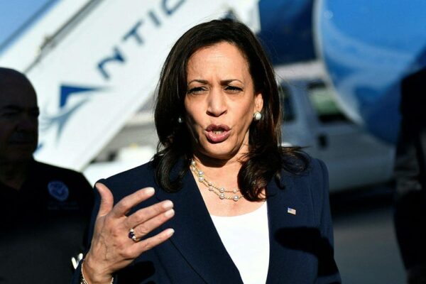 harris-failed-to-combat-‘root-causes’-of-illegal-immigration,-former-border-patrol-union-chief-says