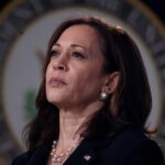 liberal-outlets,-democrats-run-defense-for-vp-harris-as-she-continues-to-solidify-nomination-support